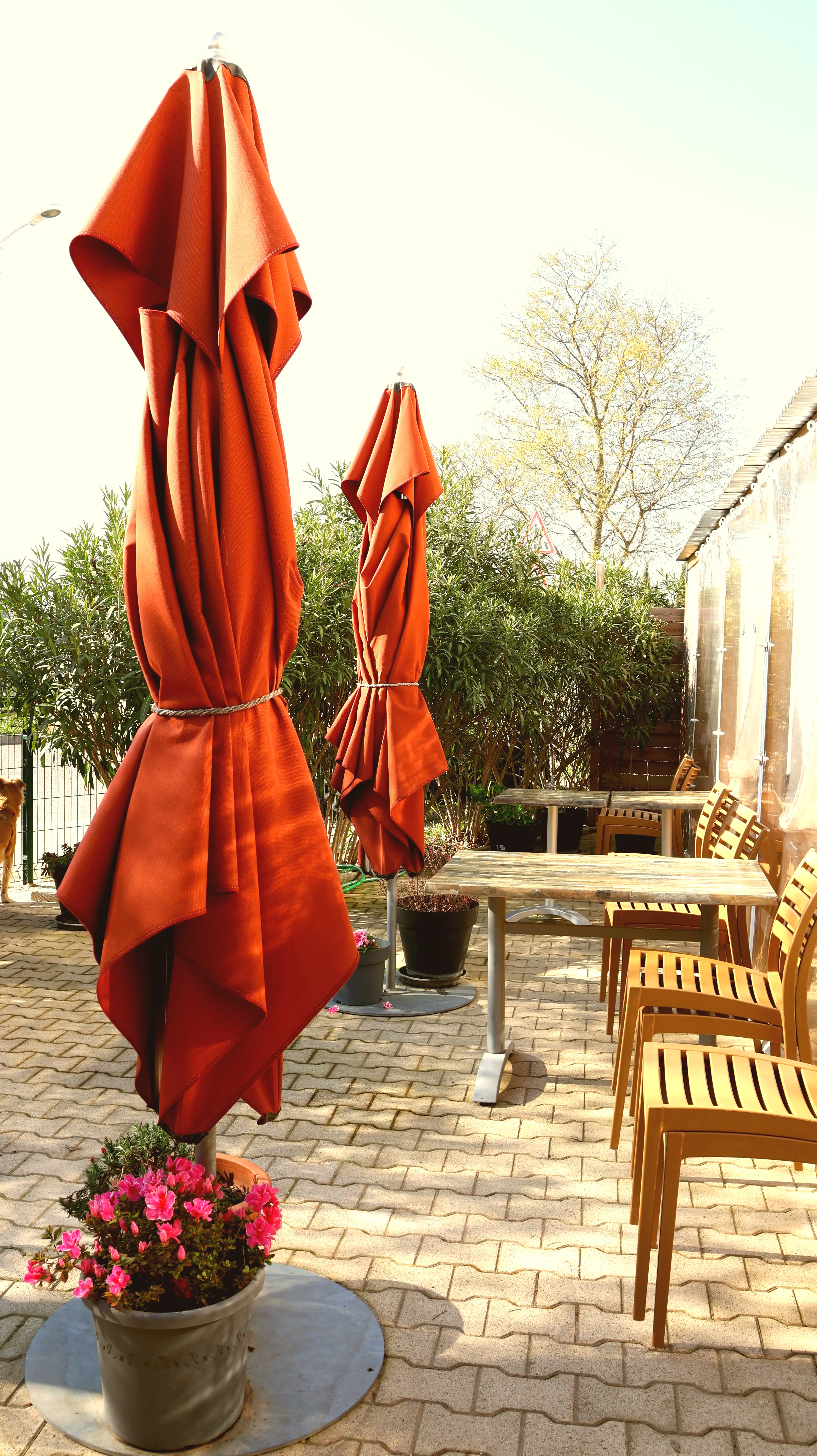Notre terrasse